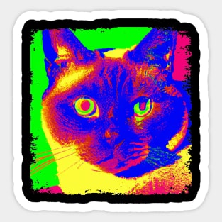 Snowshoe Pop Art - Cat Lover Gift Sticker